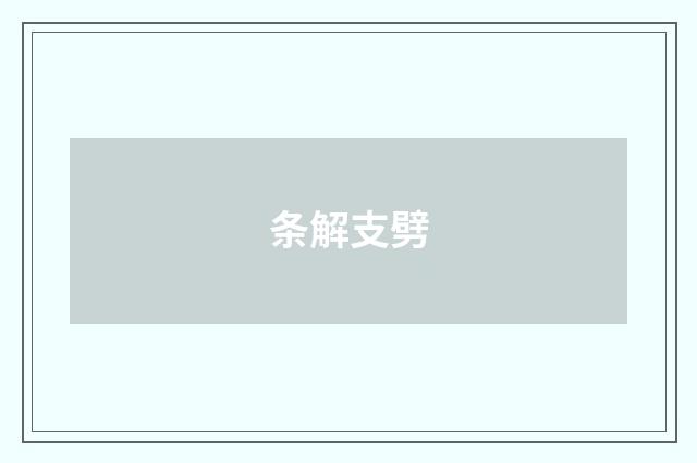 条解支劈