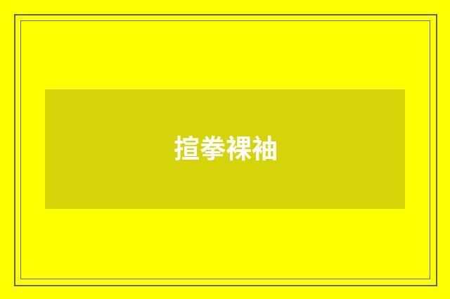 揎拳裸袖