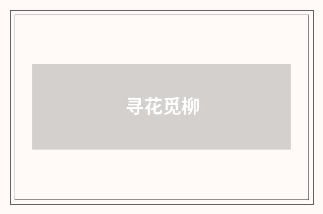 寻花觅柳