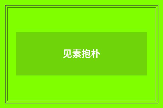 见素抱朴