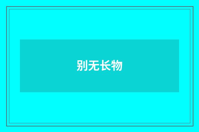 别无长物
