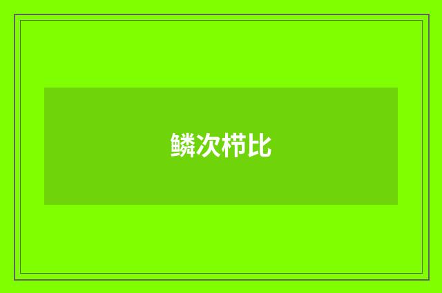 鳞次栉比