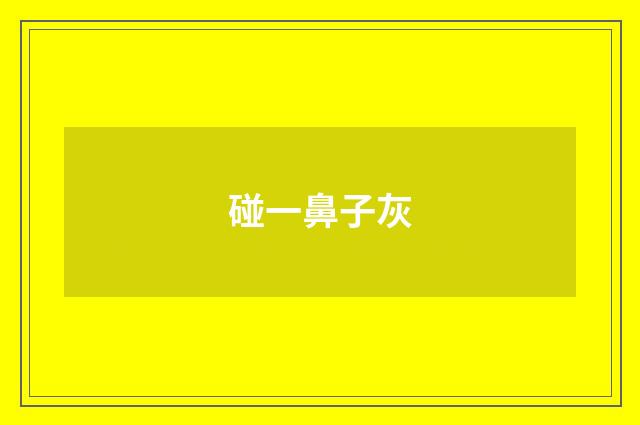 碰一鼻子灰