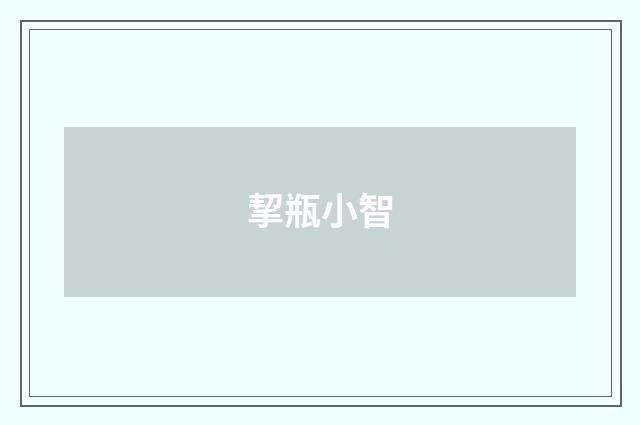 挈瓶小智