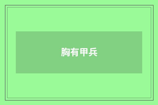 胸有甲兵