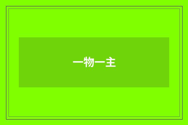 一物一主