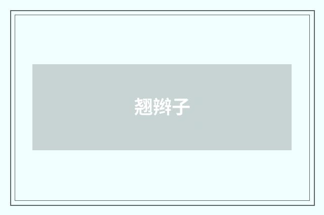 翘辫子