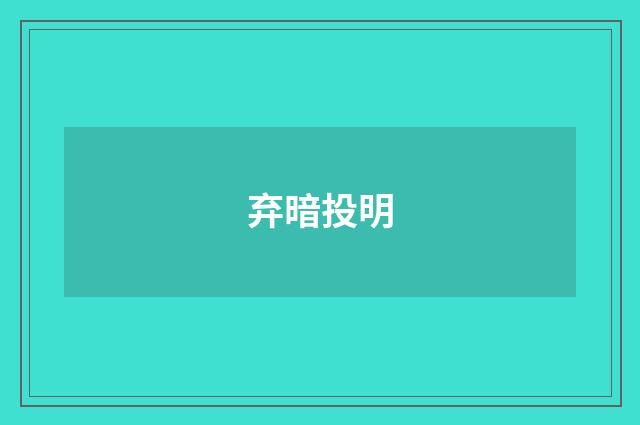 弃暗投明