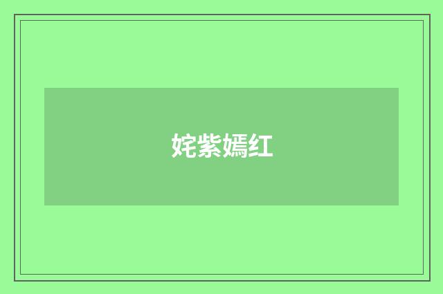 姹紫嫣红