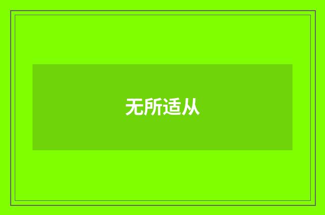 无所适从