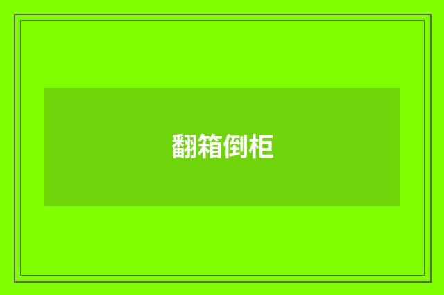 翻箱倒柜