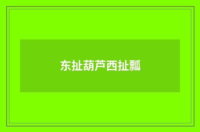 东扯葫芦西扯瓢