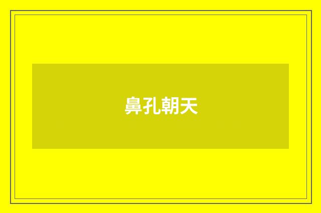 鼻孔朝天