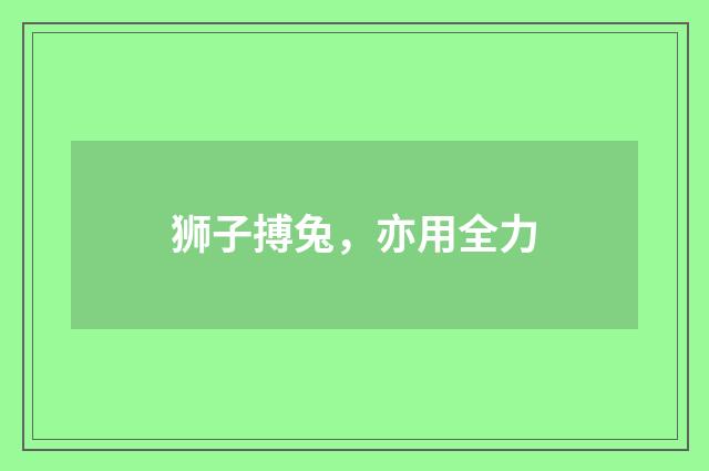 狮子搏兔,亦用全力