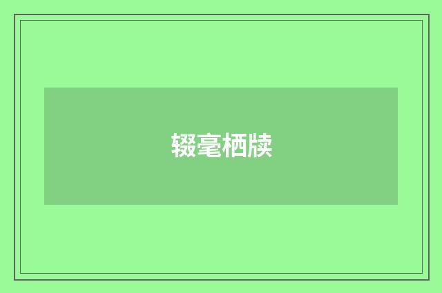 辍毫栖牍