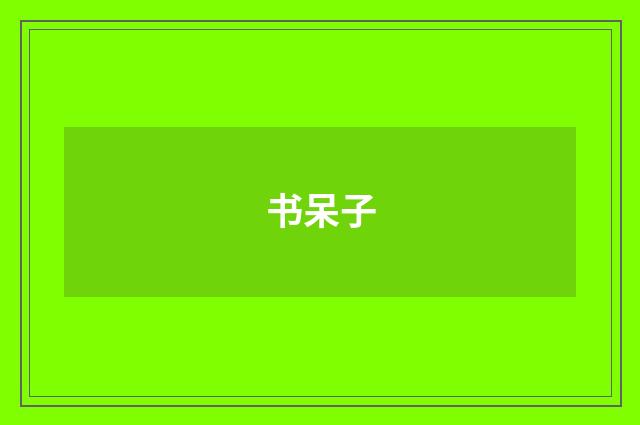 书呆子