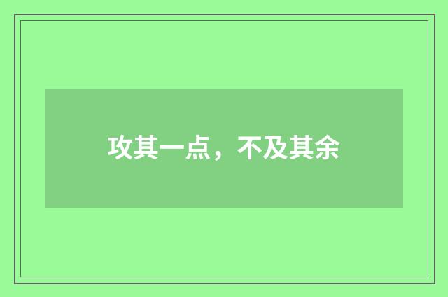 攻其一点,不及其余