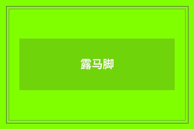 露马脚