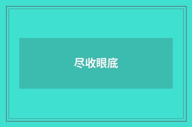 尽收眼底