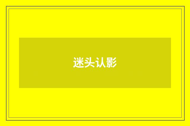 迷头认影