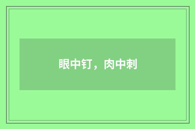 眼中钉,肉中刺