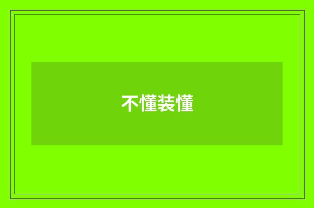 不懂装懂