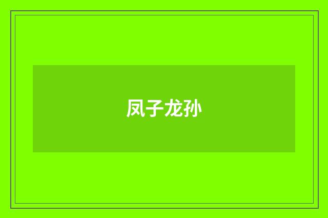 凤子龙孙