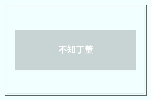 不知丁董