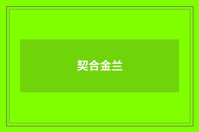 契合金兰