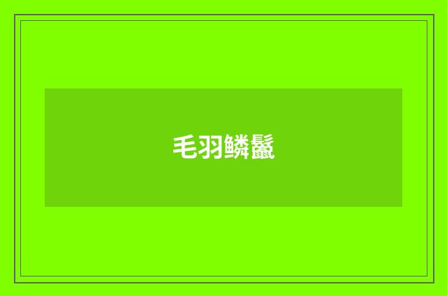 毛羽鳞鬣
