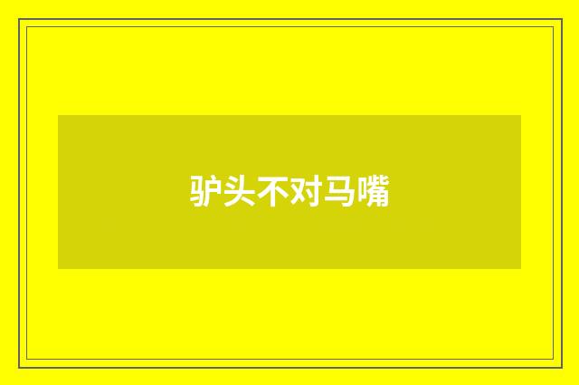 驴头不对马嘴