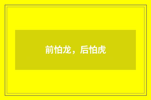 前怕龙,后怕虎