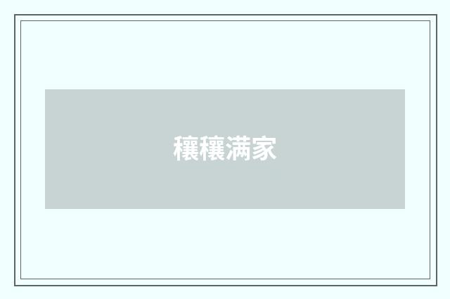 穰穰满家