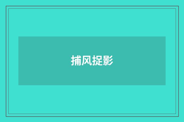 捕风捉影