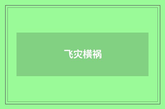 飞灾横祸