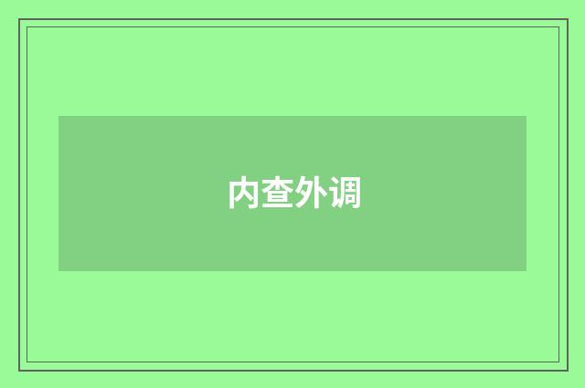 内查外调