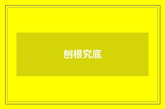 刨根究底