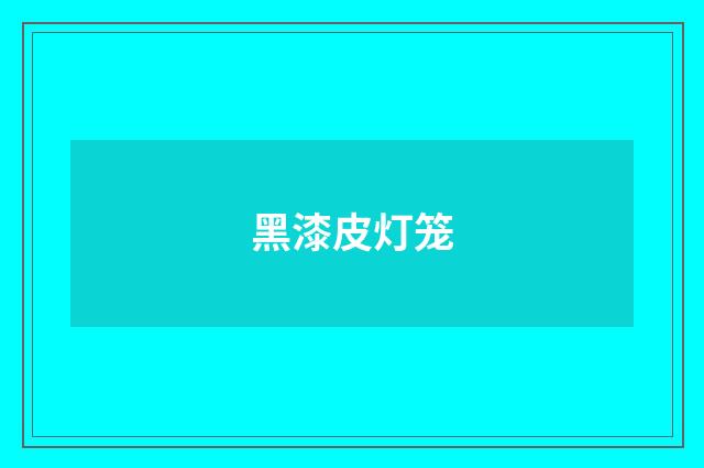 黑漆皮灯笼