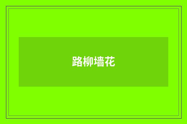路柳墙花