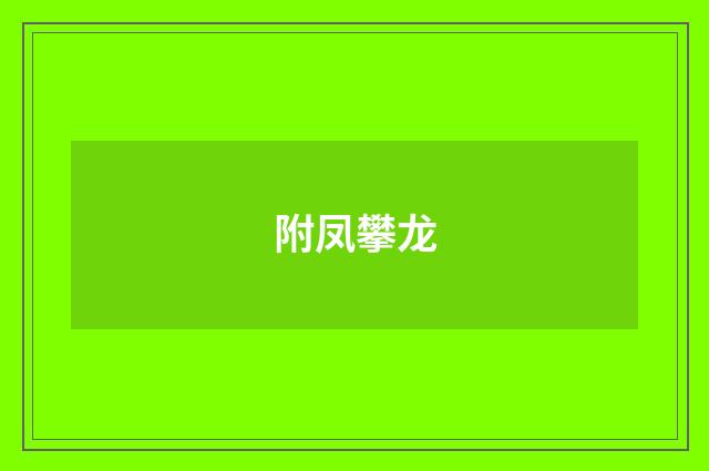 附凤攀龙