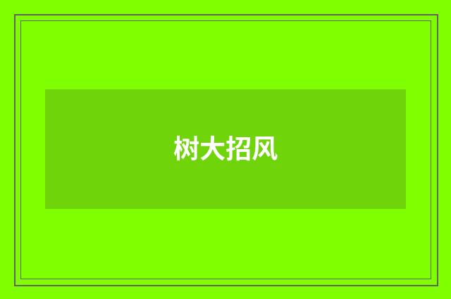 树大招风