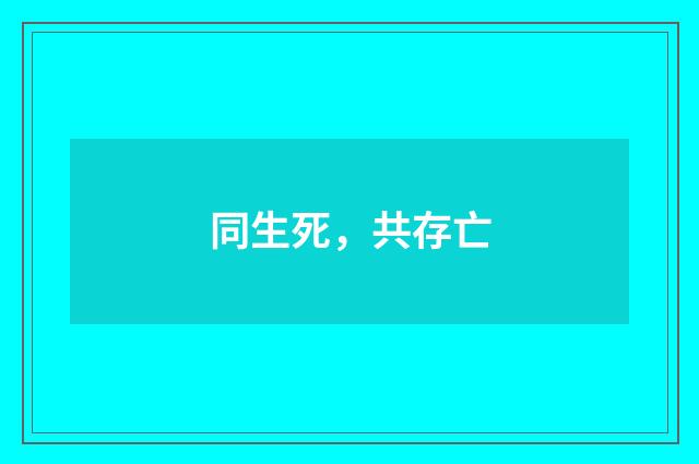 同生死,共存亡