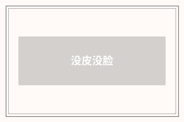 没皮没脸