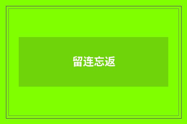 留连忘返
