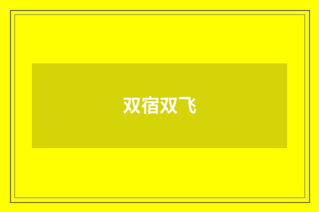 双宿双飞