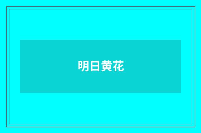 明日黄花