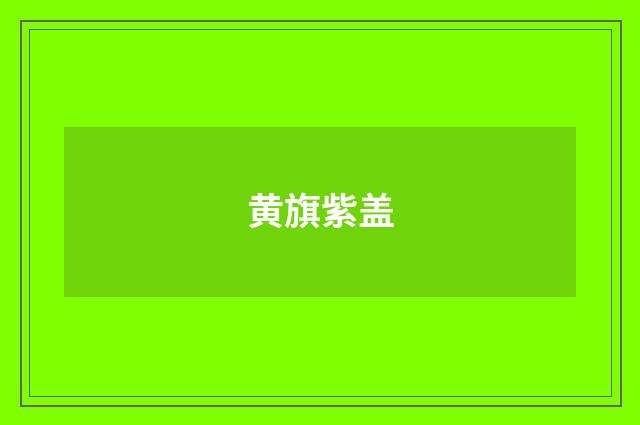 黄旗紫盖