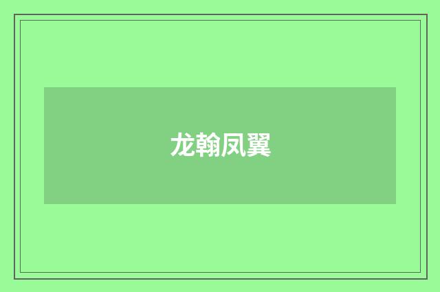 龙翰凤翼