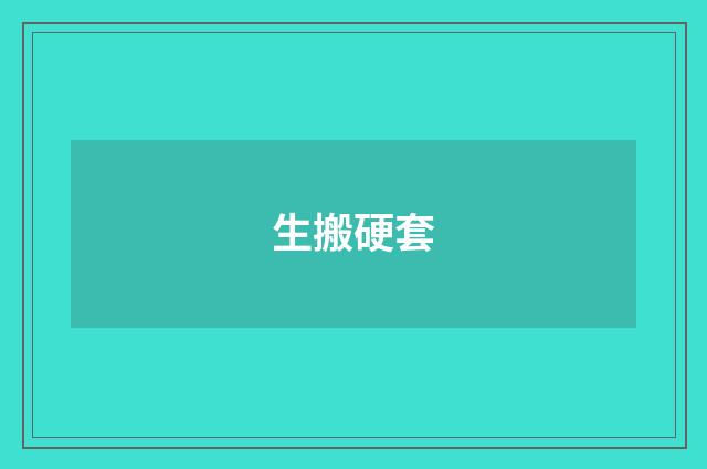 生搬硬套