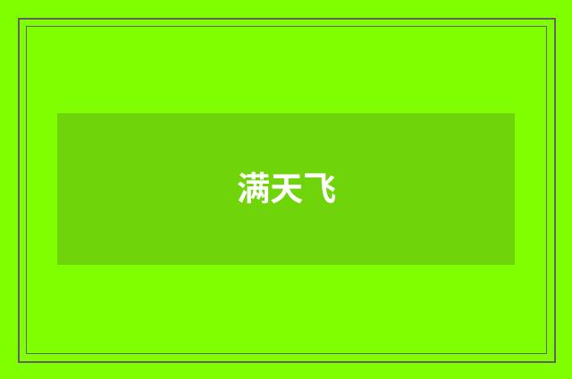 满天飞